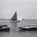 'Polly' off Maldon Prom.