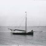 'Polly' at Mill Beach